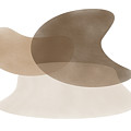 Abstract Shapes in Neutral Tones